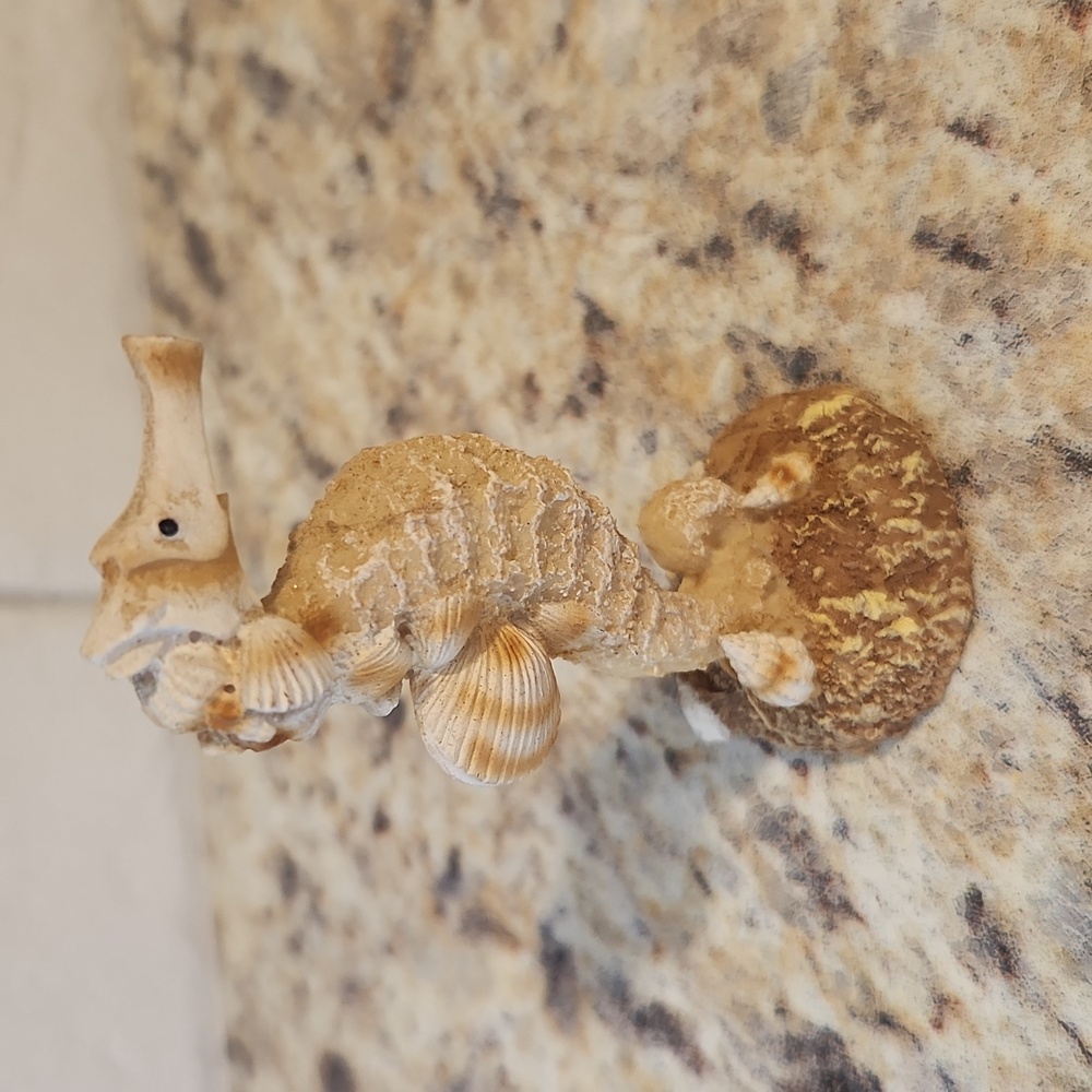 Seahorse Collection - Picture 3 of 5